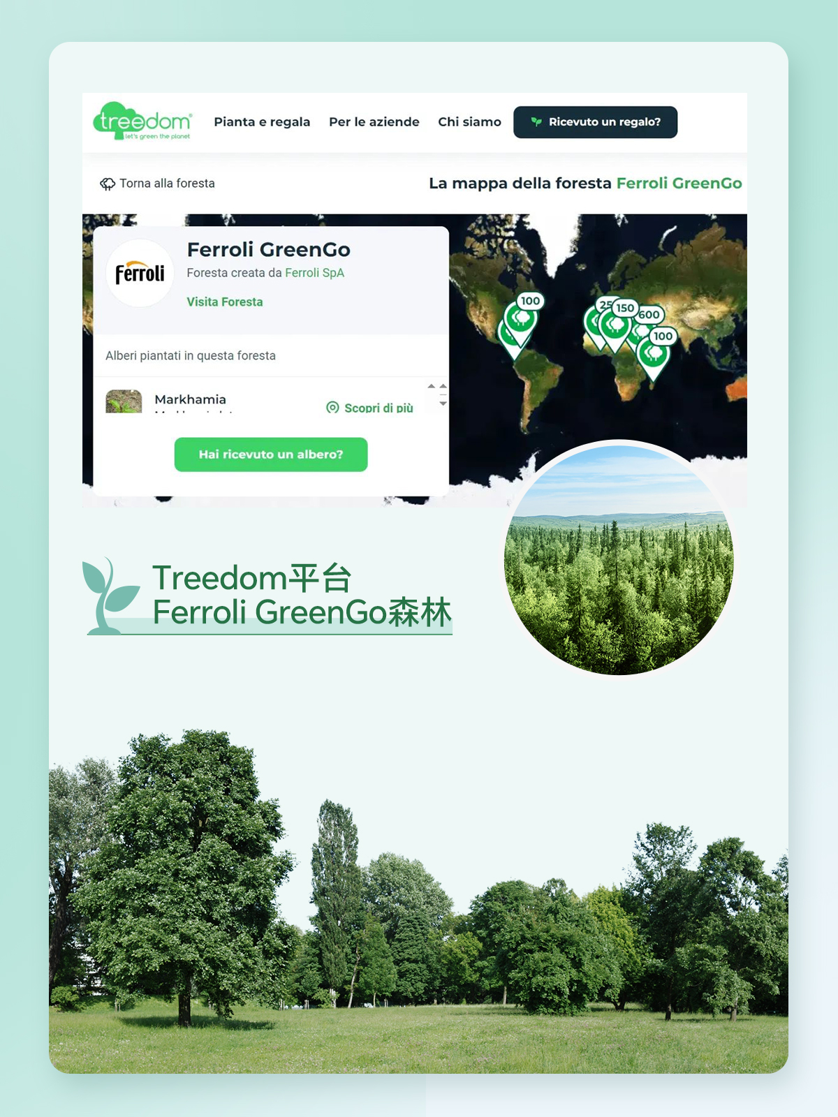 PP电子5金狮·(中国区)游戏官方网站